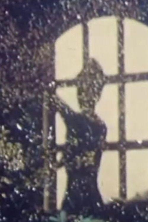 The Portrait of Cordua (1969) poster