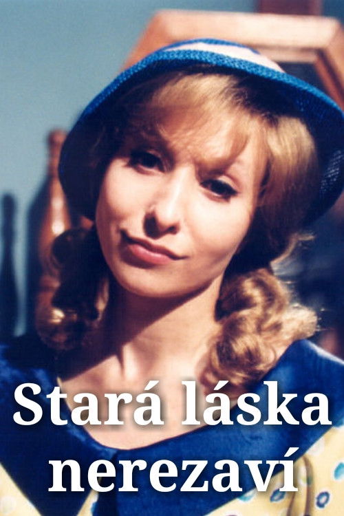 Stará láska nerezaví (2003) poster