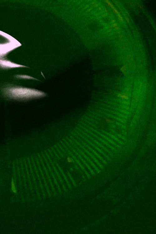 Amorist Saplings (2025) poster