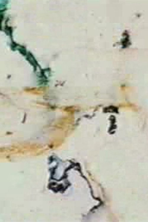 Prelude 8 (1996) poster