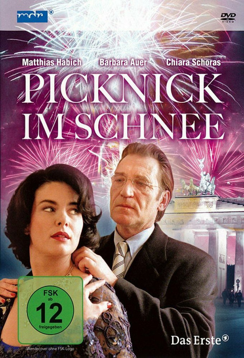 Picknick im Schnee (1999) poster