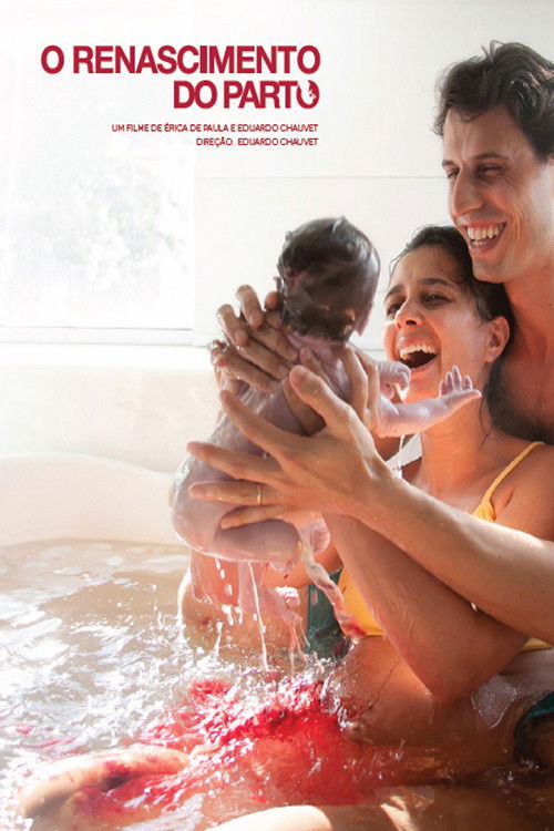 O Renascimento do Parto (2013) poster