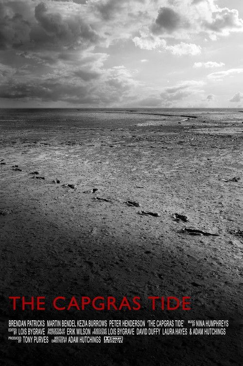The Capgras Tide (2009) poster