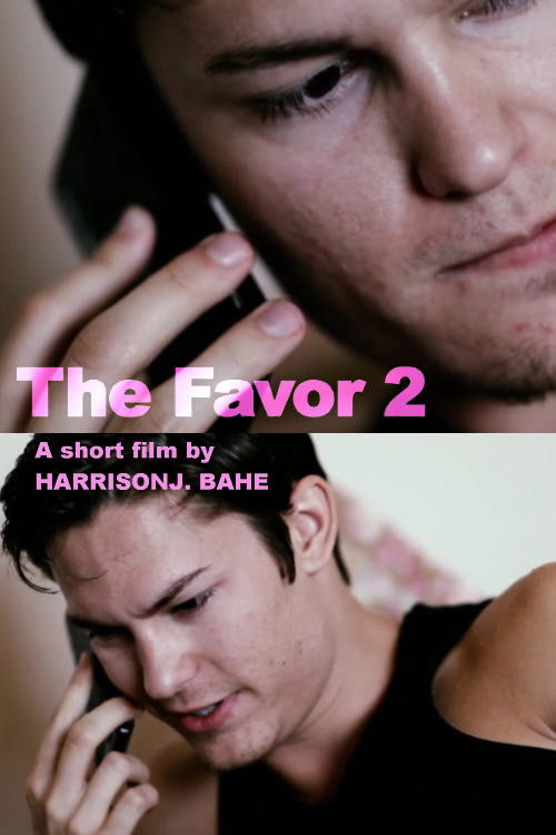 The Favor 2 (2012) poster