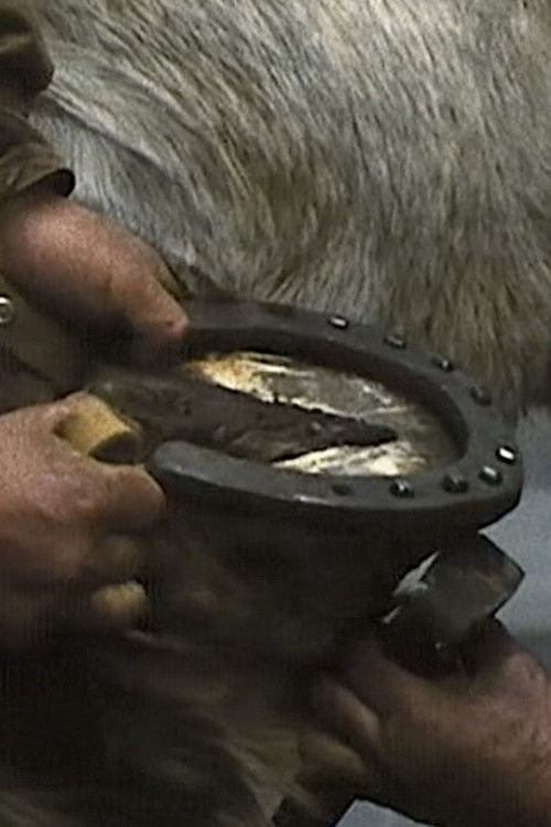 The Farrier (1977) poster