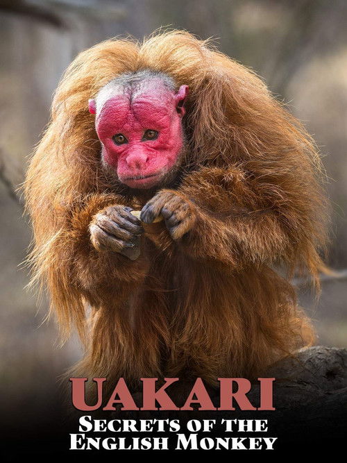 Uakari: Secrets of the English Monkey (2008) poster