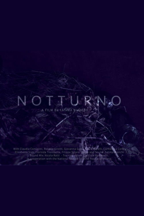 Notturno (2016) poster