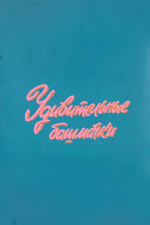 Ну, погоди! Удивительные башмачки (1977) poster