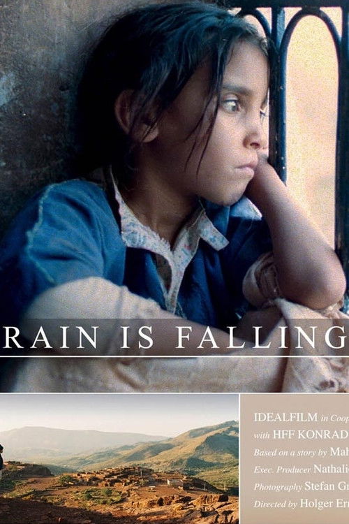 Rain Is Falling (2004) poster