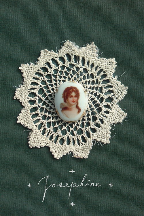 Recording Josephine: Magnolia Electric Company at Electrical Audio (2009) poster