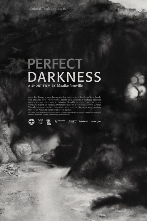 Perfect Darkness (2016) poster