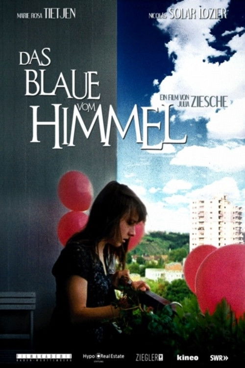 Das Blaue vom Himmel (2010) poster