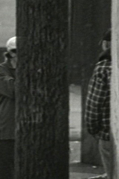 Phoenix Is a Cunning Cunt (1998) poster