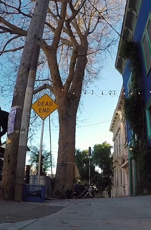 Tree Listening Test (2017) poster