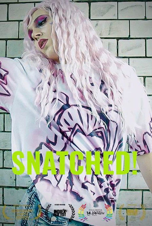 Snatched! (2022) poster