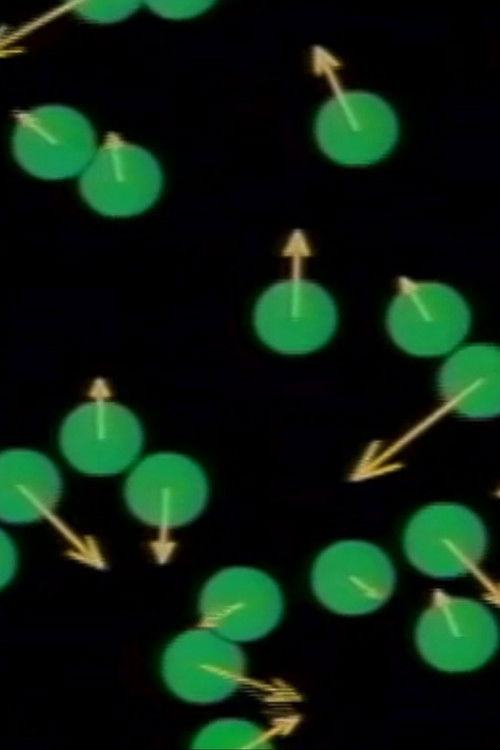 Curious About Existence (2003) poster