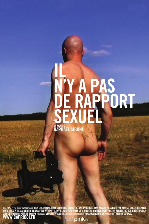 There Is No Sexual Rapport (2011) poster