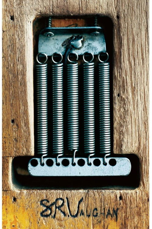 Stevie Ray Vaughan and Double Trouble – One Night In Texas (2000) poster