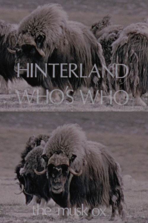 Hinterland Who's Who: The Musk Ox (1973) poster