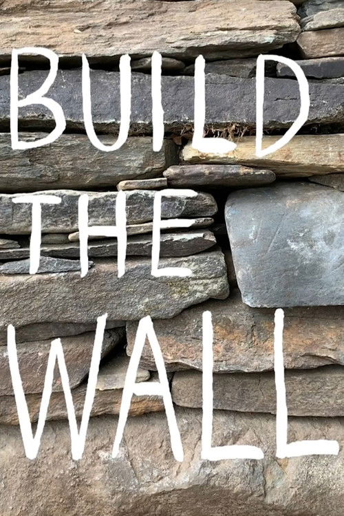 Build the Wall (2020) poster