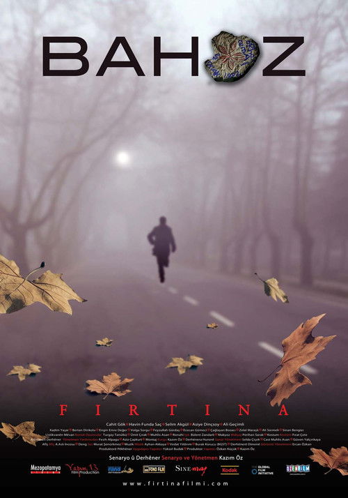 Fırtına (2008) poster