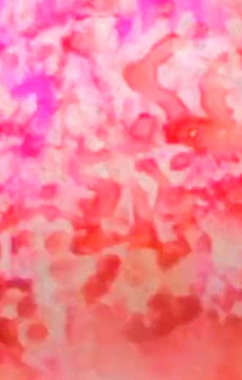 Pennsylvania (2012) poster