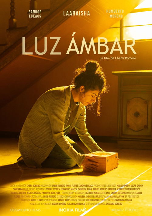 Luz ámbar (2024) poster