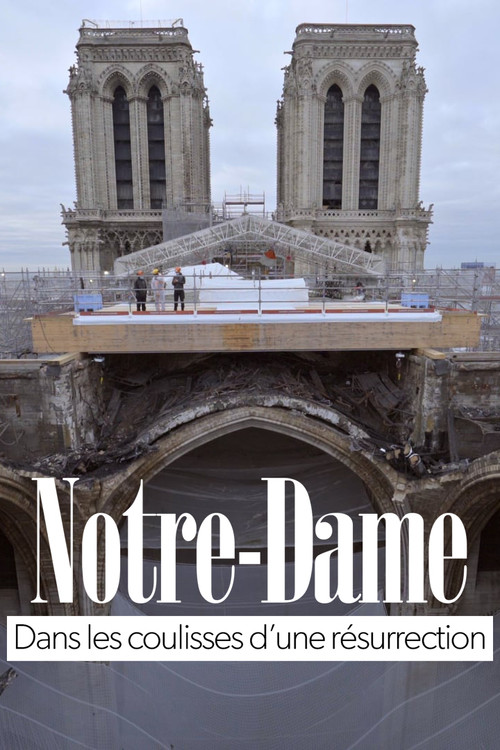 Notre-Dame of Paris, Rising from the Ashes (2021) poster