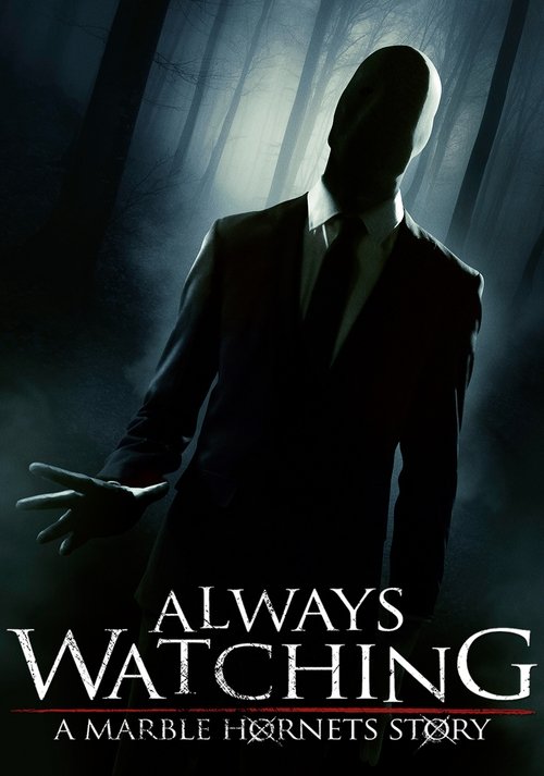 Always Watching: A Marble Hornets Story (2015) poster
