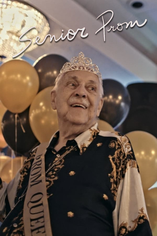 Senior Prom (2021) poster