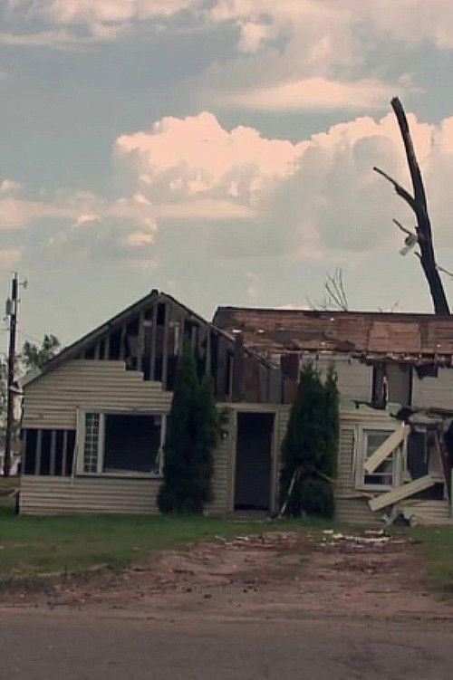 Wadena (2012) poster