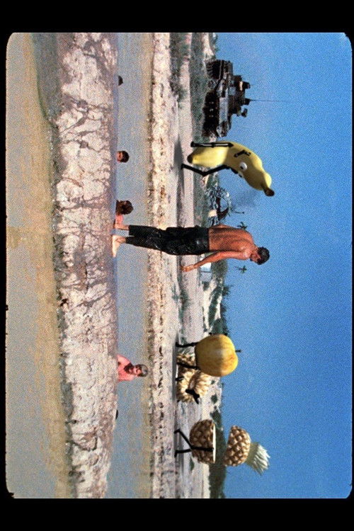 Division Movement to Vungtau (2017) poster