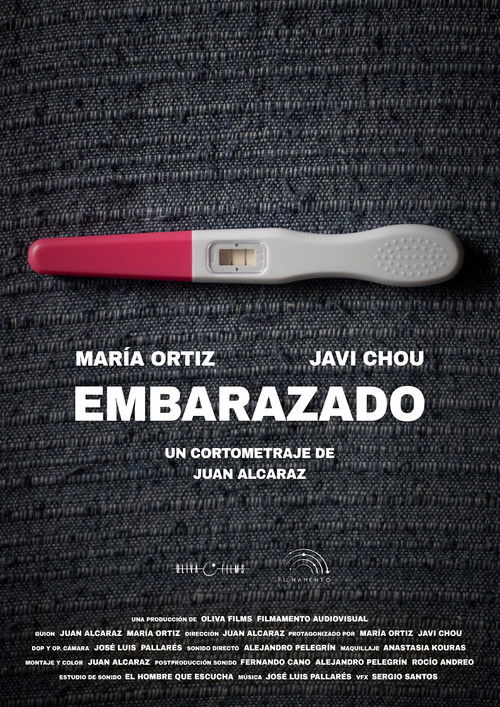 Embarazado (2025) poster
