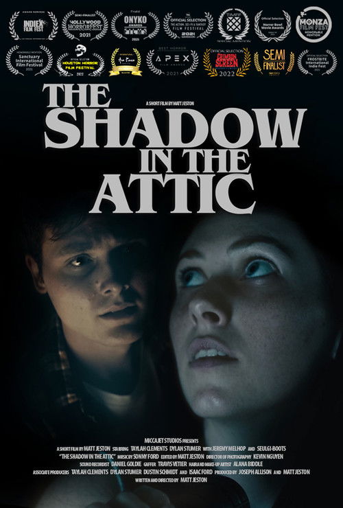 The Shadow in the Attic (2021) poster