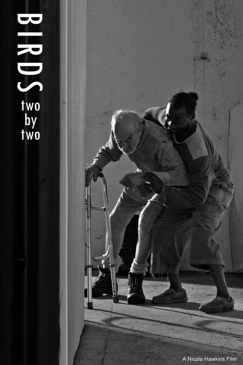 Birds Two by Two (2025) poster