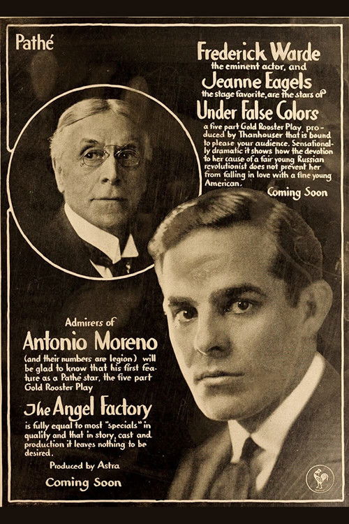 Under False Colors (1917) poster