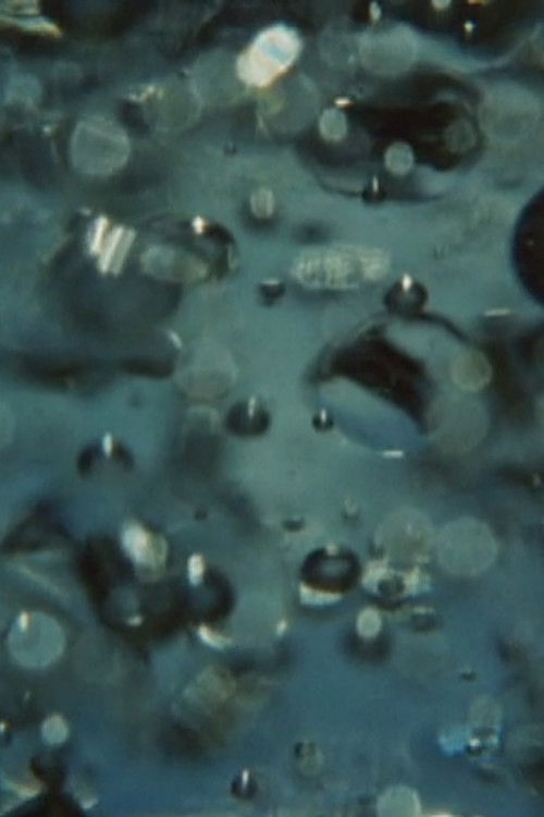 For a Young Filmmaker (2014) poster