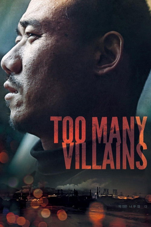 Too Many Villains (2011) poster