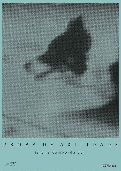 Proba de Axilidade (2015) poster