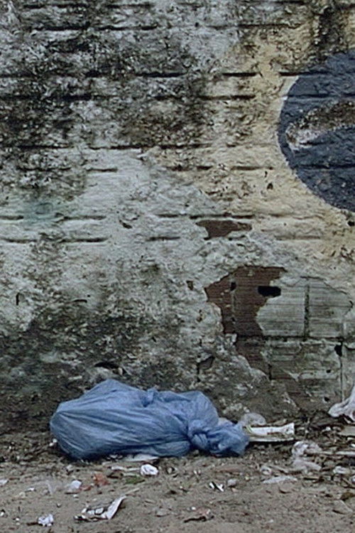 O Saco Azul (2010) poster