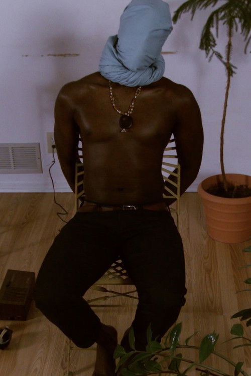 I'm Not Here Anymore (2018) poster