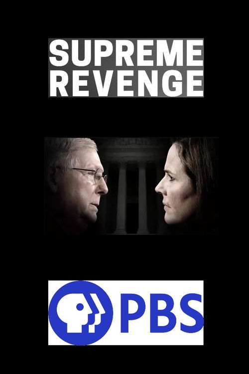 Supreme Revenge: Battle for the Court (2020) poster