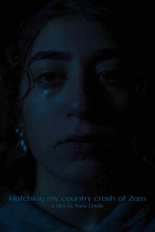 Watching my country crash at 2am (2024) poster