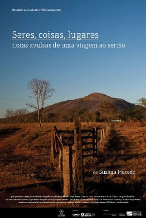 Seres, Coisas, Lugares (2019) poster