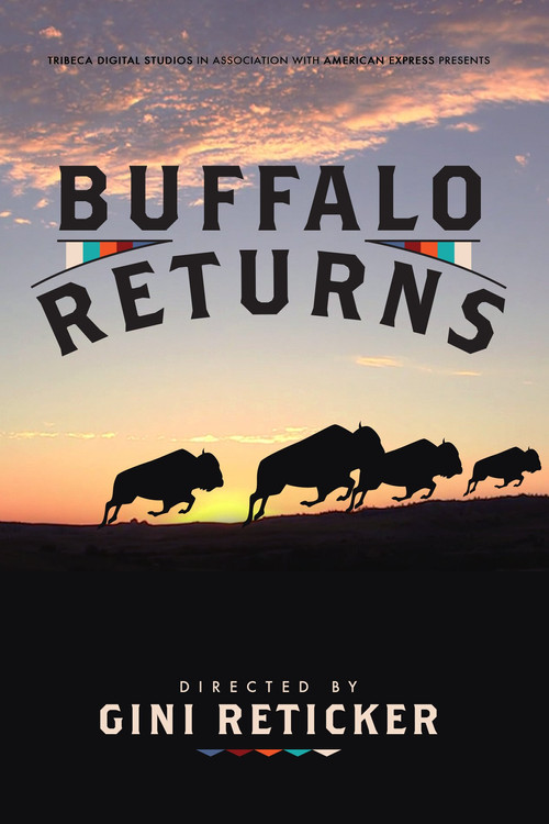 Buffalo Returns (2015) poster