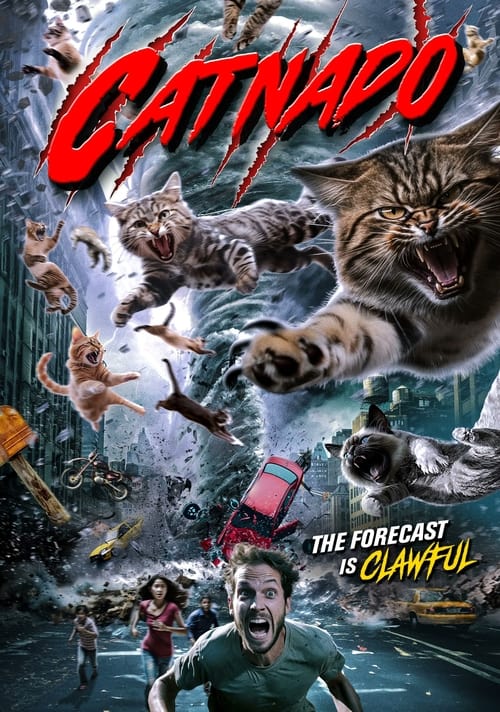 Catnado (2024) poster