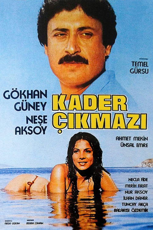 Kader Çıkmazı (1984) poster