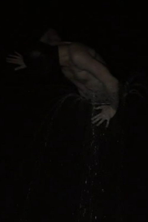 Paradiso (2008) poster