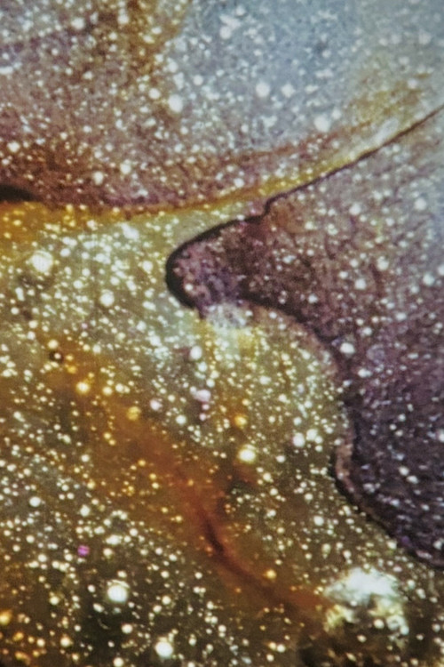 Primordium (1968) poster