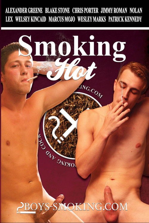 Smoking Hot (2016) poster